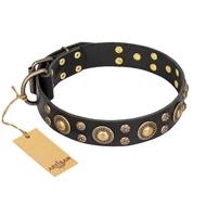 Zwart Lederen hondenhalsband Baroque Chic FDT Artisan Zwart Lederen hondenhalsband Baroque Chic FDT Artisan