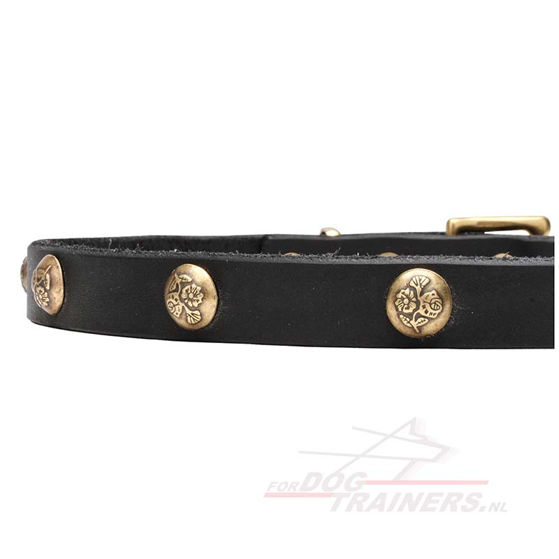 uitroepen spion Aap Wandelen leren honden halsband| Met Studs - €26.0