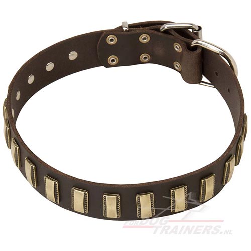 leren honden halsband met Nickel platen