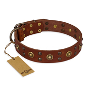 Bruine halsband voor honden van leer Bruine lederen FDT Artisan hondenhalsband