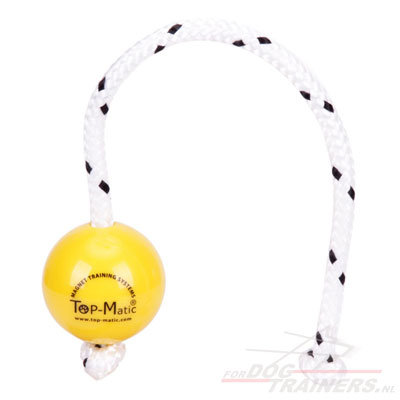 Magnetische Hond Training Ballen:Fun Bal Magnetische Hond Training Ballen:Fun Bal