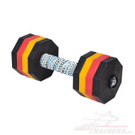 Zware Houten Dumbbell met Verwijdbare Gewichten