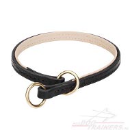 Controle slipband lederen honden halsband