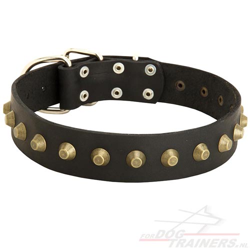 Trendy halsband met stalen gesp