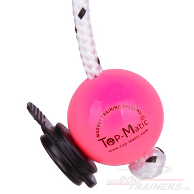 "Pink Happiness" Magnetische bal voor professionele training "Pink Happiness" Magnetische bal voor professionele training