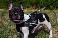 Nylon Honden Tuig voor SAR voor Franse Bulldog [H17##1106 Tuig Franse Bulldog]