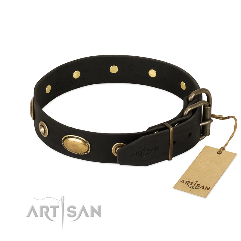 munt maat krom Charmante zwarte hondenhalsband met ronde studs - €63.2