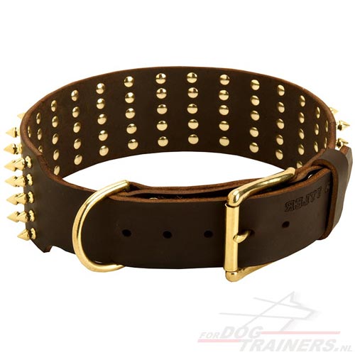 honden halsband spikes