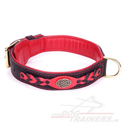 Collier extra classe pour chien