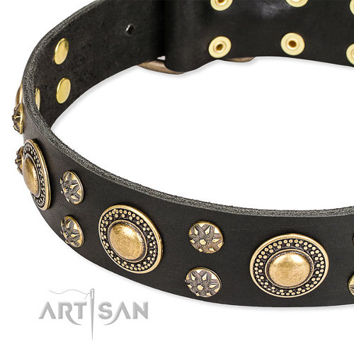 Lederen Honden Halsband met Sterke
Hardware