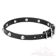 Dunne Lederen Hondenhalsband leet met studs Dunne Lederen Hondenhalsband leet met studs