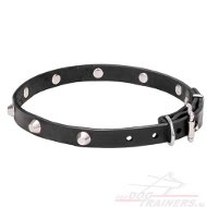 Dunne Lederen Hondenhalsband leet met studs