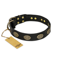 Zwarte lederen hondenhalsband met ovalen studs Zwarte lederen hondenhalsband met ovalen studs