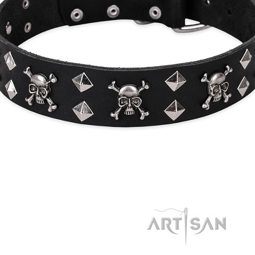 Super honden kraag met schedels