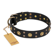 Zwarte Lederen honden halsband