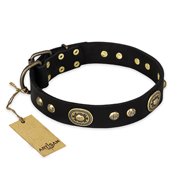 Zwarte lederen hondenhalsband Chique hondenhalsband leer met studs FDT Artisan